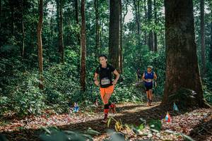 BIB: 
                            <button type="button" onclick="openModal(26129359)" class="btn btn-primary btn-sm float-right btn-popup" data-toggle="modal" data-target=".modal-high-quality">
                        <i class="fas fa-shopping-cart"></i> Add to Cart
                    </button>
                                            <button type="button" onclick="isThisMe(26129359, true)" class="btn btn-success btn-sm float-right btn-popup btn-isme hidden" data-toggle="tooltip" data-placement="bottom" title="นี่คือรูปของคุณใช่ไหม คลิกที่นี่เพื่อเอาเข้าอัลบั้ม">
                        <i class="fas fa-plus"></i> Add to album
                    </button>
                    <button type="button" onclick="isThisMe(26129359, false)" class="btn btn-warning btn-sm float-right btn-popup btn-isnotme hidden">
                        <i class="fas fa-ban"></i> Remove from album
                    </button>